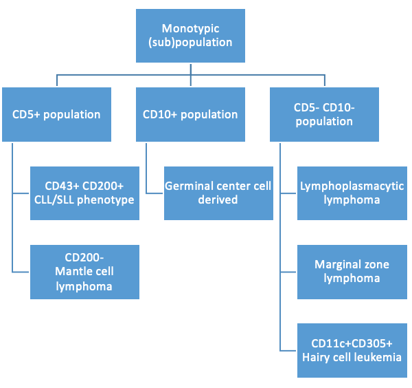 Approach_to_clonal_B-cell_populations