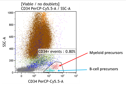 B cell Precursors Myeloid 2